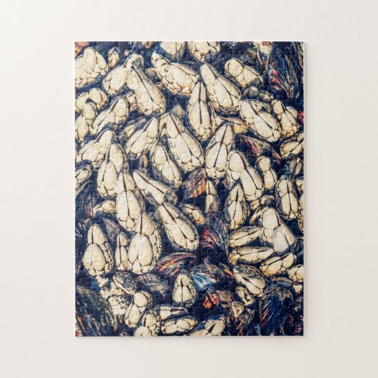 Gooseneckbarnacles & mussels, BC Westküste Puzzle (Vertikal)