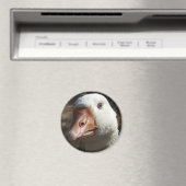 Goosey Goosey Magnet (In Situ (Geschirrspüler))