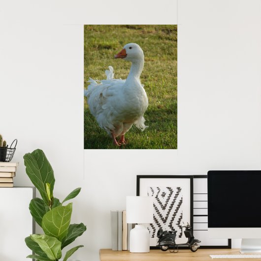 Goosey Poster (Heimbüro)