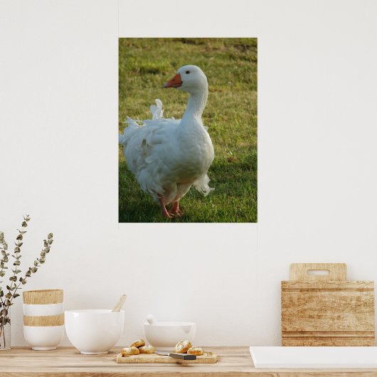 Goosey Poster (Küche)