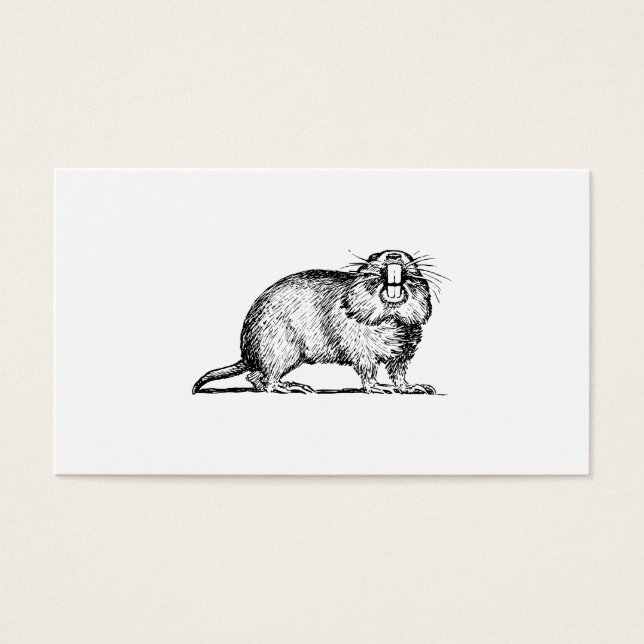 Gopher (Vorderseite)
