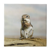 Gopher_005 Fliese (Vorderseite)