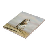 Gopher_005 Fliese (Seite)