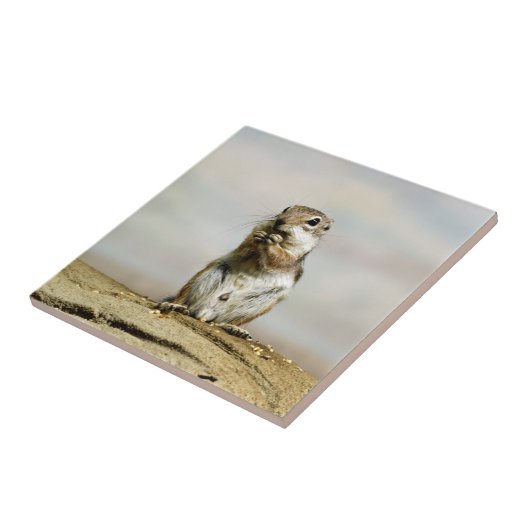 Gopher_005 Fliese (Seite)