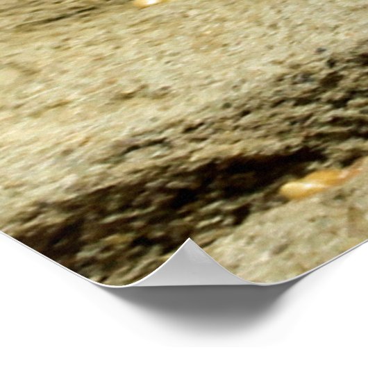 Gopher_005 Poster (Ecke)