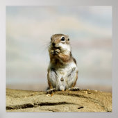 Gopher_005 Poster (Vorne)