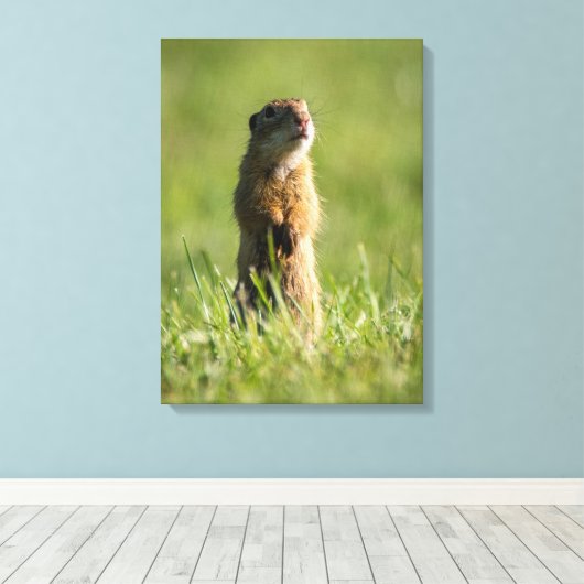 Gopher Leinwanddruck (Insitu (Holzboden))