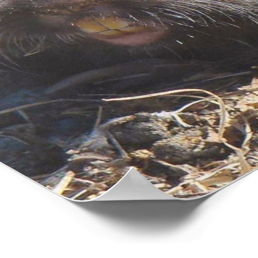 Gopher Poster (Ecke)