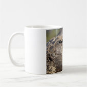 Gopher-Schildkröte, Kaffee, Notfall! Kaffeetasse (Links)
