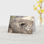 Gopher-Schildkröte nicht glücklich Karte (Gelbe Blume)