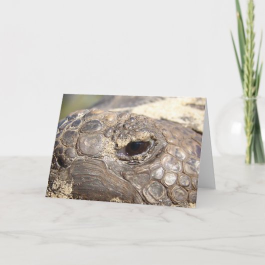 Gopher-Schildkröte nicht glücklich Karte (Vorderseite)