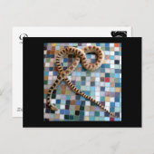 Gopher Snake Wonder Valley Postkarte (Vorne/Hinten)