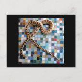 Gopher Snake Wonder Valley Postkarte (Vorderseite)