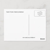 Gopher Tortoise auf dem Blick Postkarte (Rückseite)