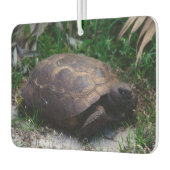 Gopher Tortoise Autolufterfrischer (Links)