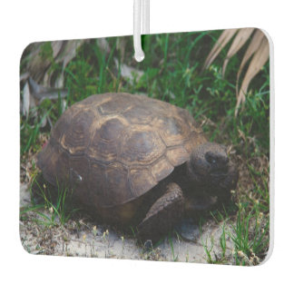 Gopher Tortoise Autolufterfrischer