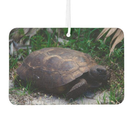 Gopher Tortoise Autolufterfrischer (Vorderseite)