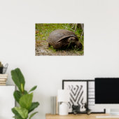 Gopher Tortoise isst Grass Poster (Heimbüro)