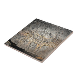 Gopher Tortoise Muschel Design Fliese