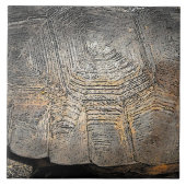 Gopher Tortoise Muschel Design Fliese (Vorderseite)