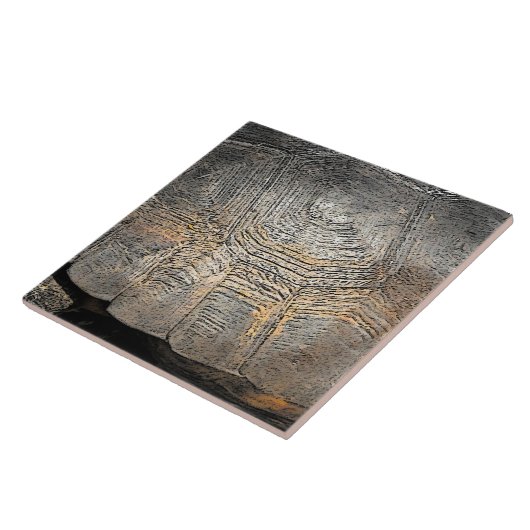 Gopher Tortoise Muschel Design Fliese (Seite)