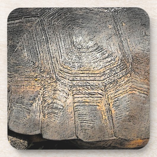 Gopher Tortoise Muschel Design Untersetzer (Vorderseite)