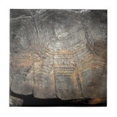 Gopher Tortoise Muschel Fliese (Vorderseite)