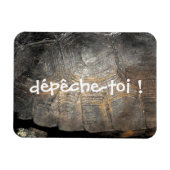 Gopher Tortoise Muschel Magnet (Horizontal)