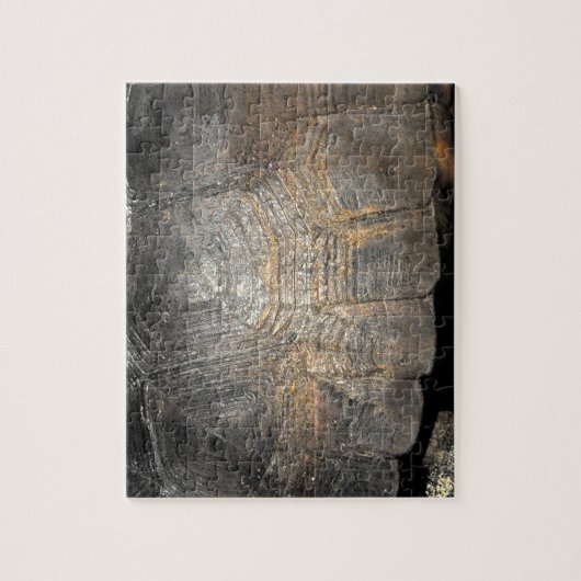 Gopher Tortoise Muschel Puzzle (Vertikal)