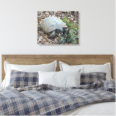 Gopher Tortoise on Morning Leinwanddruck (Insitu (Schlafzimmer))