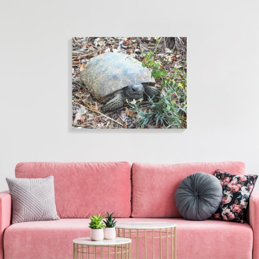 Gopher Tortoise on Morning Leinwanddruck (Insitu (Wohnzimmer))