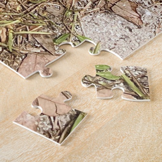 Gopher Tortoise Rescue - leise Rätsel Puzzle (Seite)