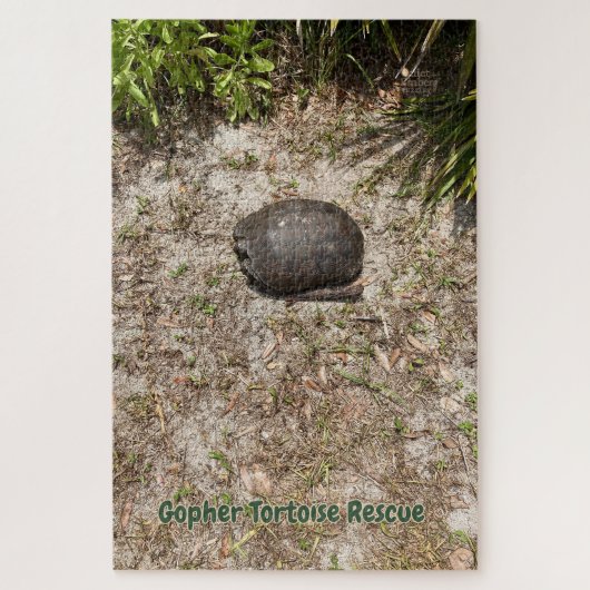 Gopher Tortoise Rescue - leise Rätsel Puzzle (Vertikal)