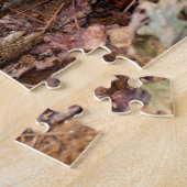 Gopher Turtle Puzzle (Seite)
