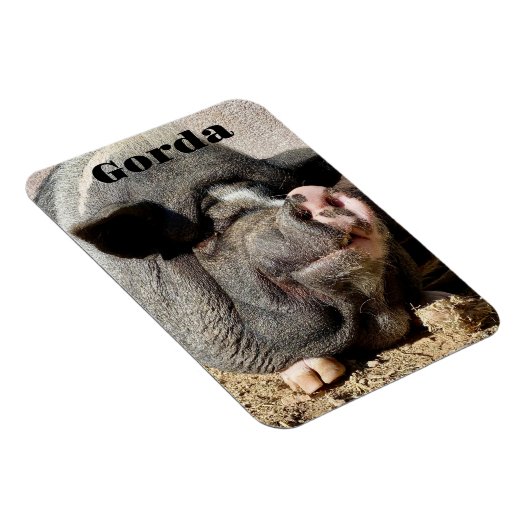 Gorda Magnet (Rechte Seite)