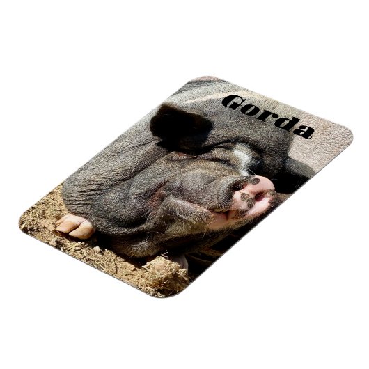 Gorda Magnet (Linke Seite)