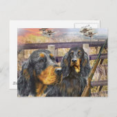 Gordon Setter auf einer Jagdgeschenke Postkarte (Vorne/Hinten)