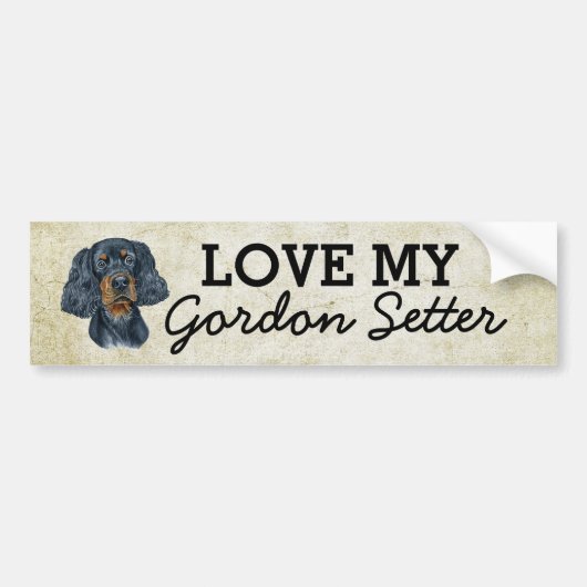 Gordon Setter Autoaufkleber (Vorne)