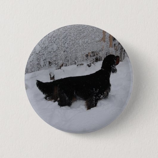 Gordon Setter Button (Vorderseite)