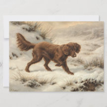 Gordon Setter Dog in einer schneesicheren Winterla