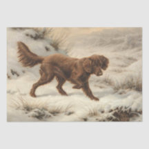 Gordon Setter Dog in einer schneesicheren Winterla