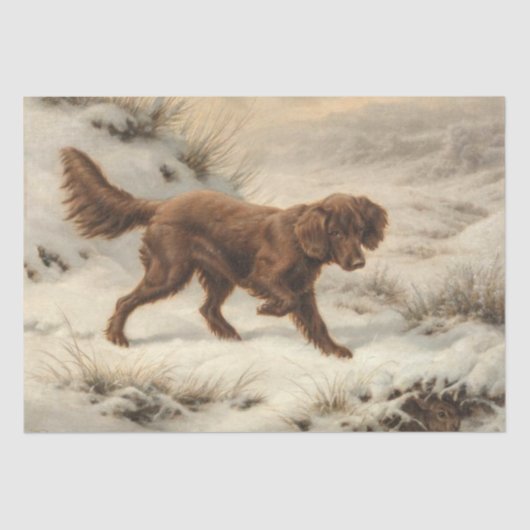 Gordon Setter Dog in einer schneesicheren Winterla Seidenpapier (Vorderseite)