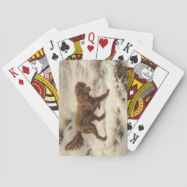 Gordon Setter Dog in einer schneesicheren Winterla Spielkarten