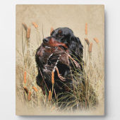 Gordon Setter, Entenjagd Fotoplatte (Vorderseite)
