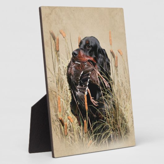 Gordon Setter, Entenjagd Fotoplatte (Seite)