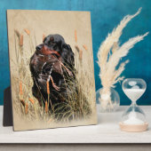 Gordon Setter, Entenjagd Fotoplatte (Seite)