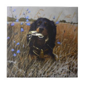 Gordon Setter Fliese (Vorderseite)