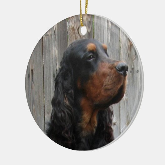 Gordon Setter Foto Ornament (Links)