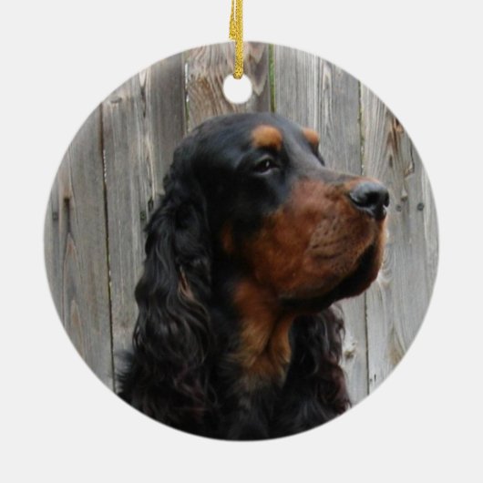 Gordon Setter Foto Ornament (Hinten)
