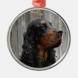 Gordon Setter Foto Ornament
